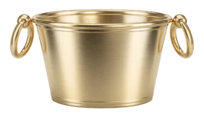 3D Golden Ice Bucket