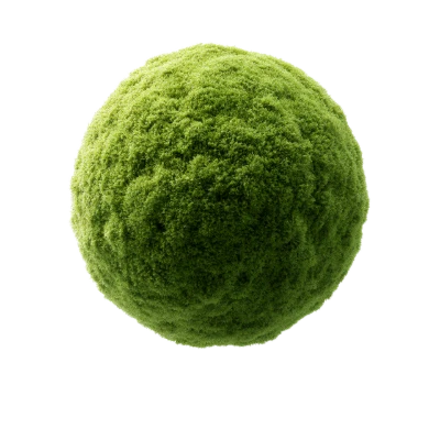 3D Green Mossy Sphere Plant Ball