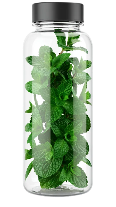 3D Mint Leaves Bottle