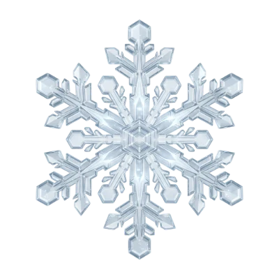 3D Render Snowflake Icon