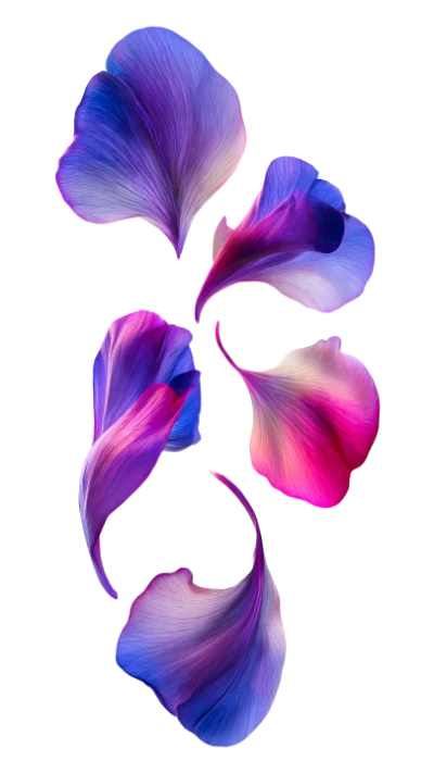 Abstract Purple Flower Petals