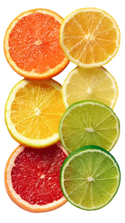Assorted Citrus Fruit Slices