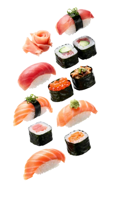 Assorted Japanese Sushi Set