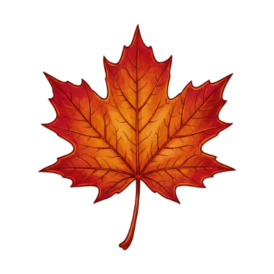 Autumn Maple Leaf Illustration