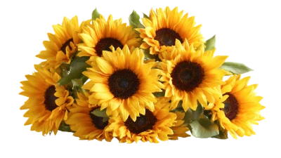 Beautiful Sunflower Bouquet