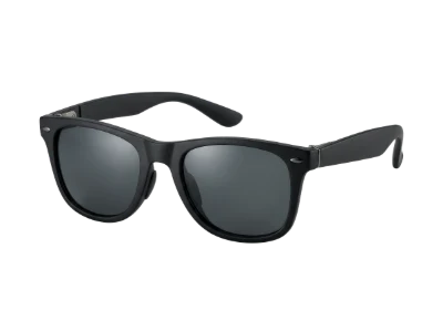 Black Wayfarer Sunglasses