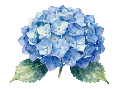 Blue Hydrangea Flower