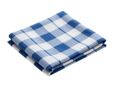 Blue Plaid Napkin