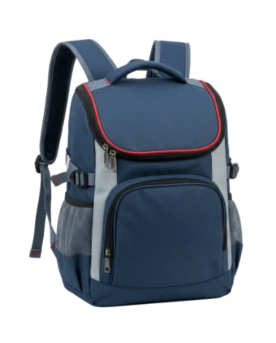 Blue School Backpack