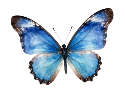 Blue Watercolor Butterfly