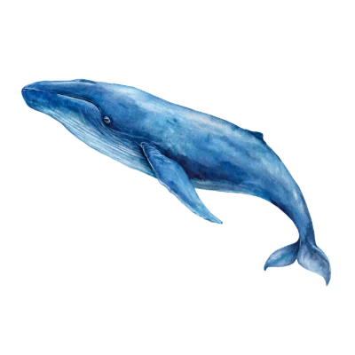 Blue Whale Watercolor Painting