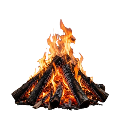 Bright Burning Campfire