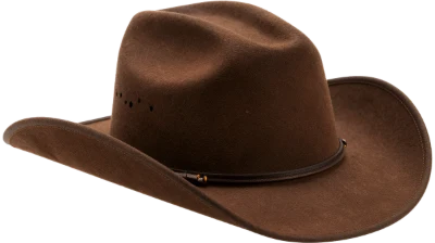 Brown Felt Cowboy Hat