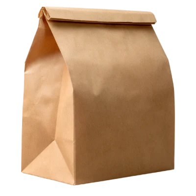 Brown Paper Lunch Bag