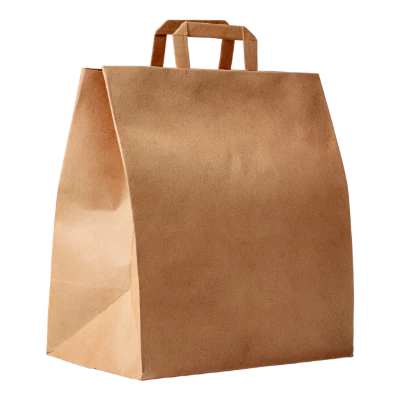 Brown Paper Shopping Bag