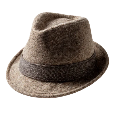 Brown Wool Fedora Hat