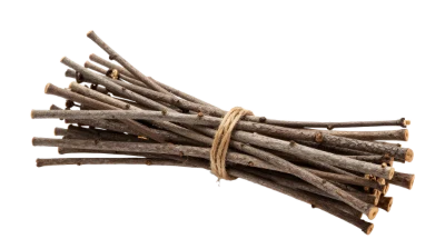 Bundle Of Wooden Twigs
