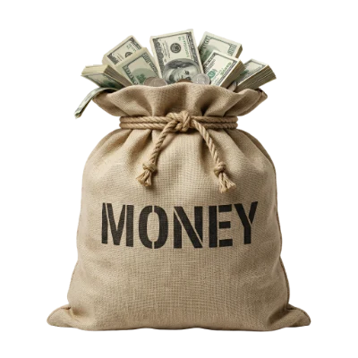 Burlap Money Bag