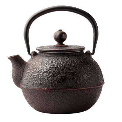 Cast Iron Teapot