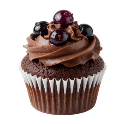 Chocolate Blueberry Cupcake