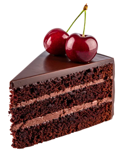 Chocolate Cake Slice