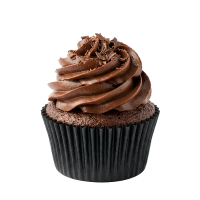 Chocolate Frosted Cupcake