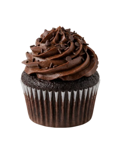 Chocolate Frosted Cupcake