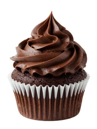 Chocolate Frosted Cupcake