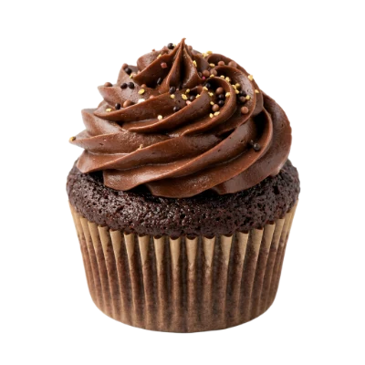 Chocolate Frosted Cupcake