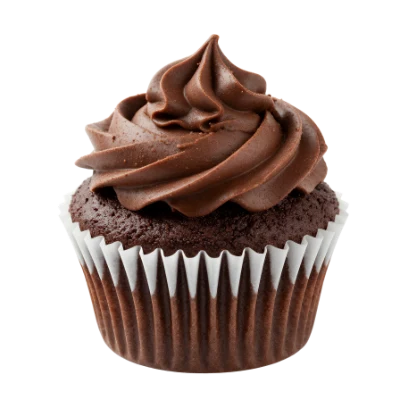 Chocolate Frosted Cupcake