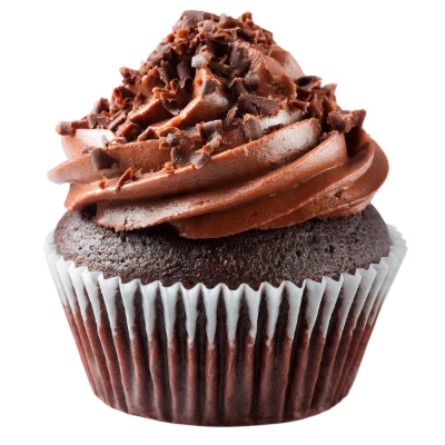 Chocolate Frosted Cupcake