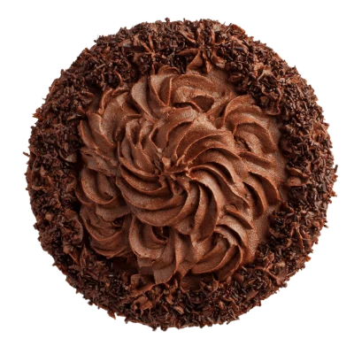 Chocolate Frosted Cupcake