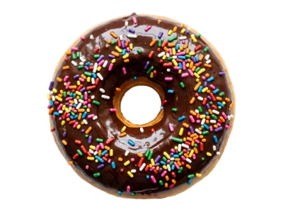 Chocolate Glazed Sprinkled Donut