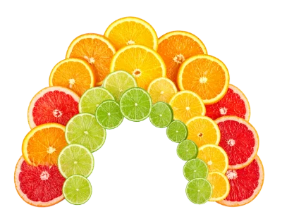 Citrus Fruit Slices Arch