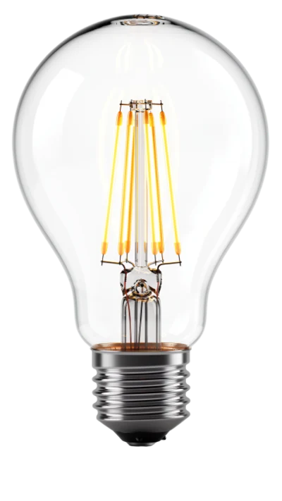 Clear LED Light Bulb