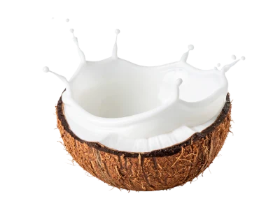 Coconut Milk Splash