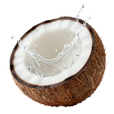 Coconut With Water Splash