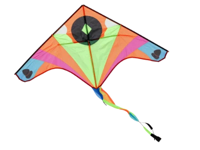 Colorful Flying Kite