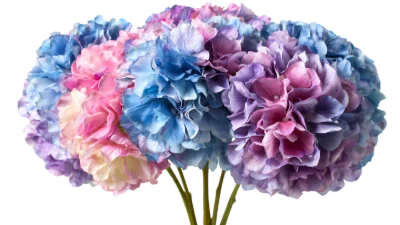 Colorful Hydrangea Flower Bouquet