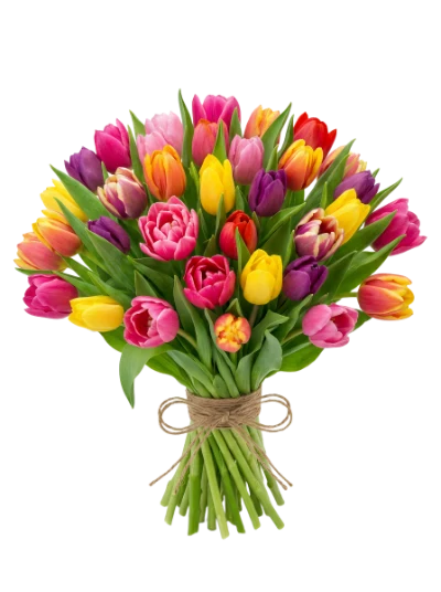 Colorful Tulip Flower Bouquet