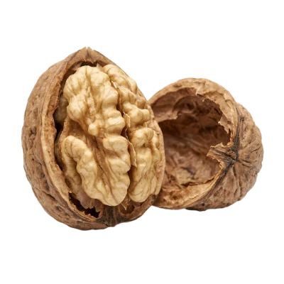 Cracked Walnut Kernel