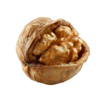 Cracked Walnut Kernel