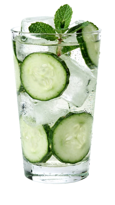 Cucumber Mint Infused Water