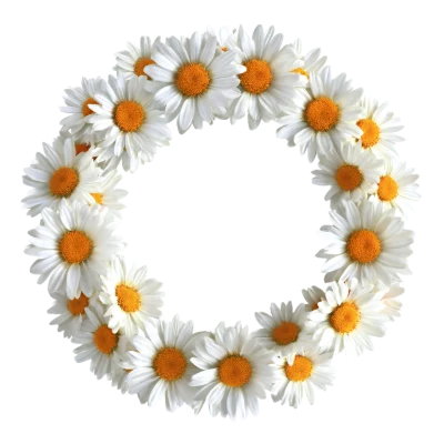 Daisy Flower Wreath