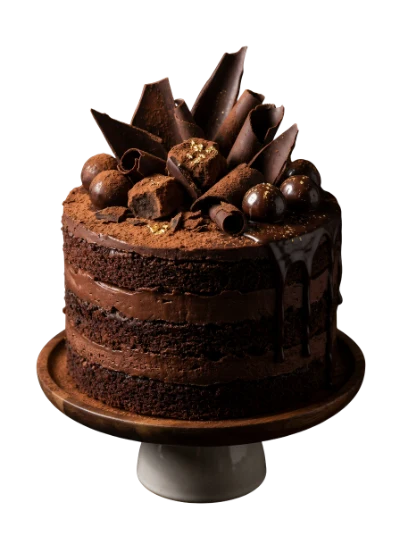 Decadent Chocolate Layer Cake