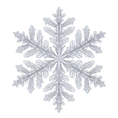 Detailed Crystal Snowflake