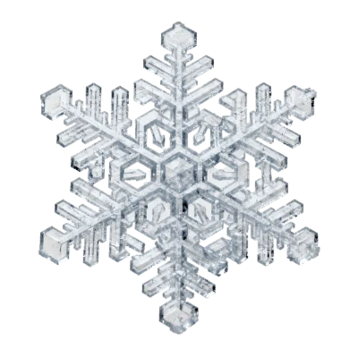 Detailed Crystal Snowflake