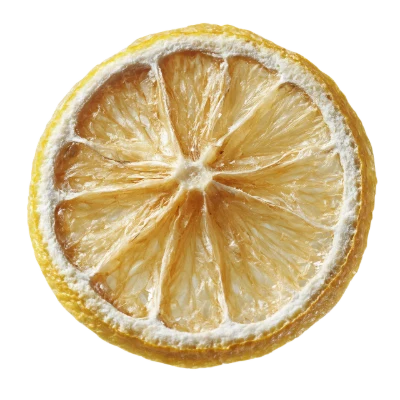 Dried Lemon Slice