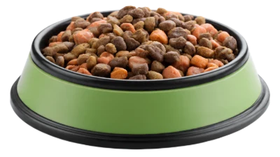 Dry Pet Food Bowl