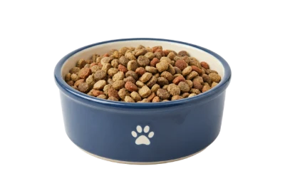 Dry Pet Food Bowl